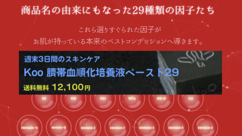 �q�g���זE�|�{�t�z���N���[���yKoo�`�ь������|�{�t�y�[�X�g29 �z���T�C�g